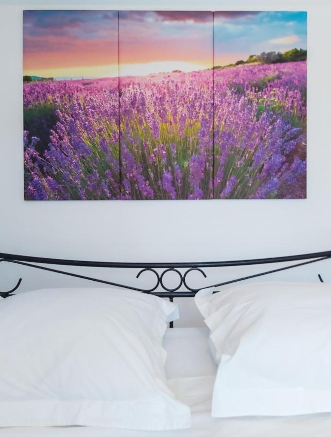 Etoilevacances Chambres D Hotes Campagne En Lavande Saint-Cézaire-sur-Siagne Екстериор снимка